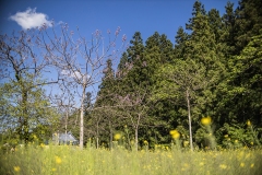 1_007
